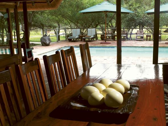 Serondella Lodge - Pool 